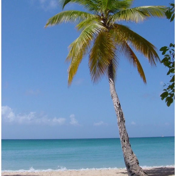 Meet your Posher, Lou - Picture 1 of 1